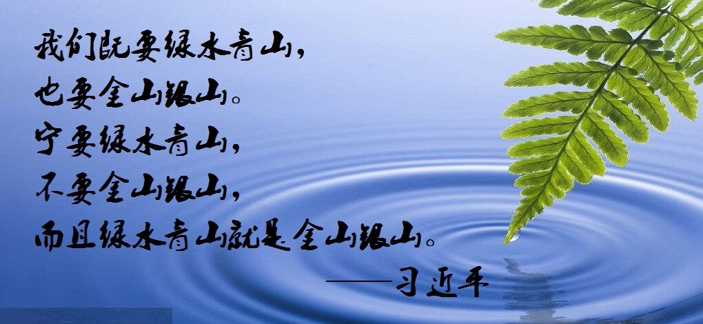 习近平.jpg
