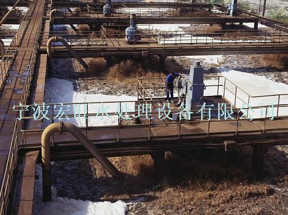 造纸8.JPG